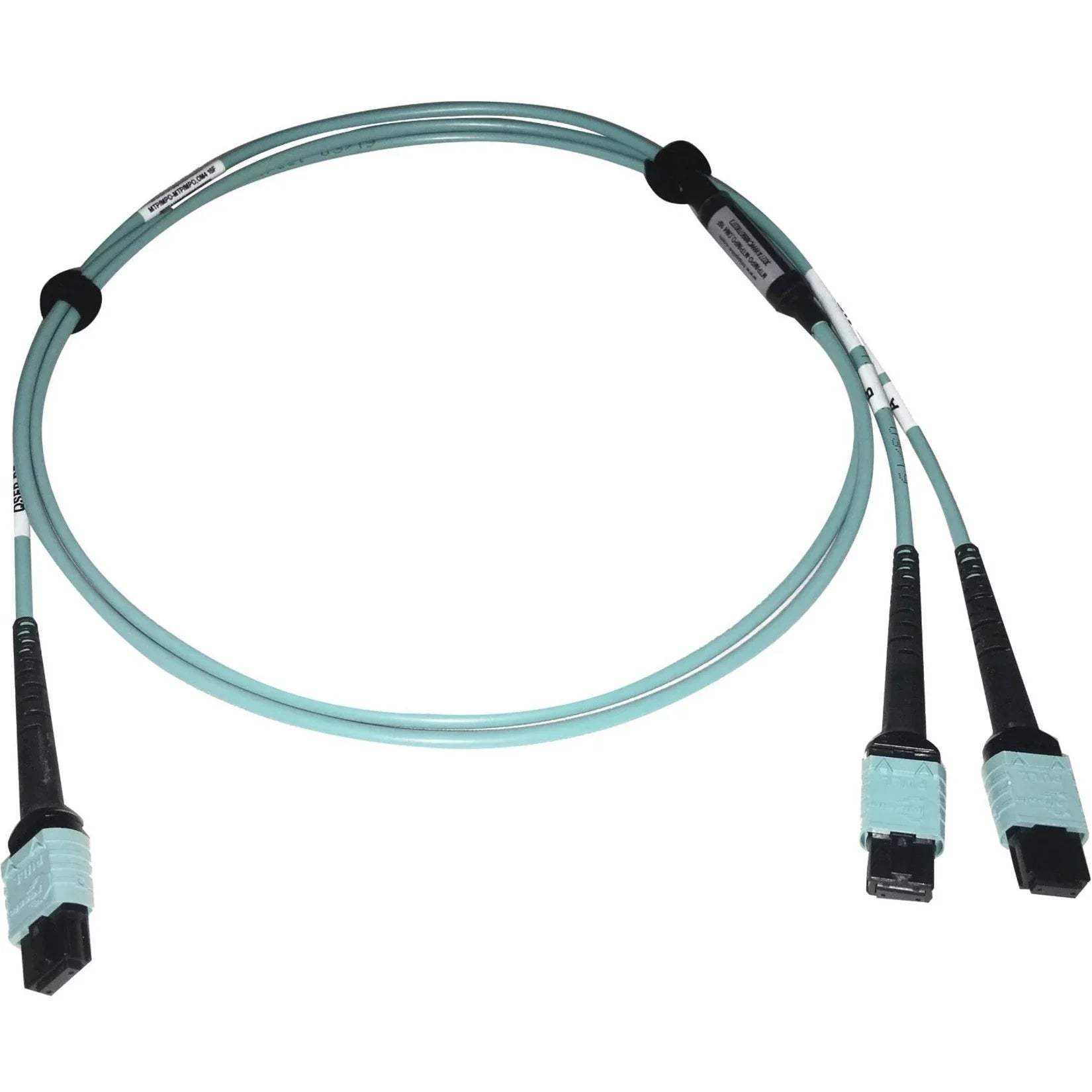 Eaton Tripp Lite Series 400G Multimode 50/125 OM4 Plenum Fiber Optic Cable, 24F MTP/MPO-PC to (x2) 12F MTP/MPO-PC (F/F), Aqua, 1 m