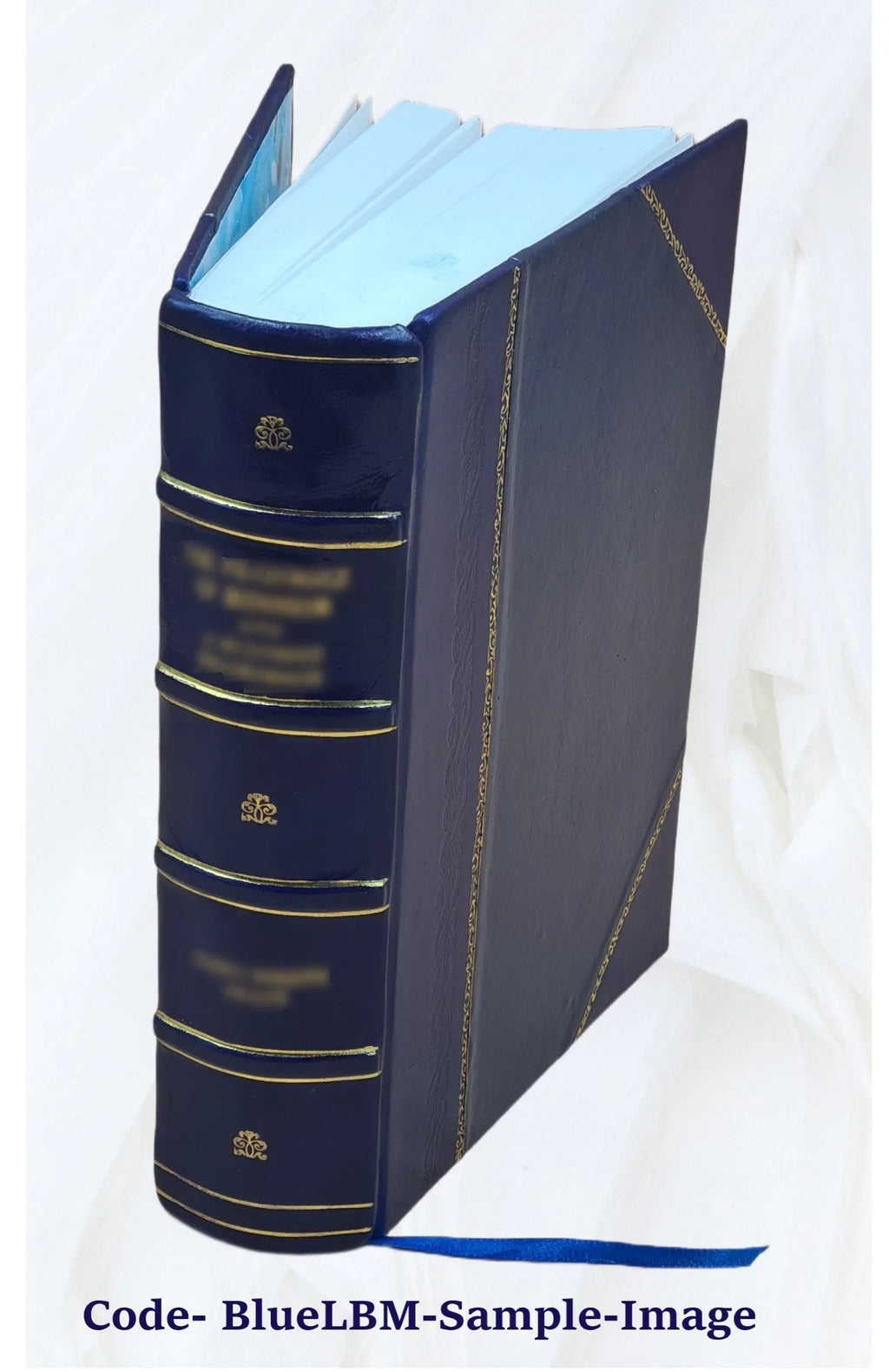 La Revista de Buenos Aires Volume 9 1871 [Leather Bound]