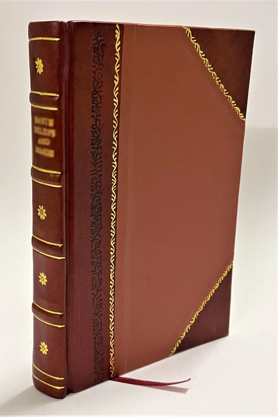I dannati redivivi per la coda di Minosse dialogo dedicato ad Astrea imperatrice augustissima 'Olimpo dall'abate Jacopo prof. Gnoato [Leather Bound]