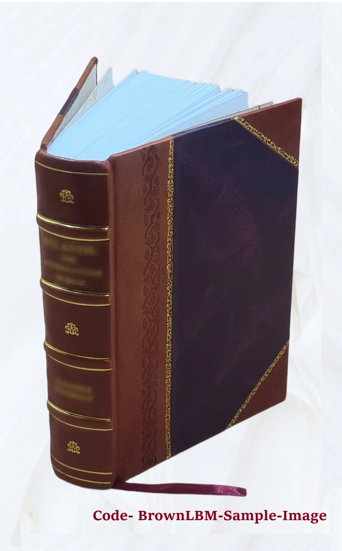 Opera omnia Volume t.9 1870 [Leather Bound]