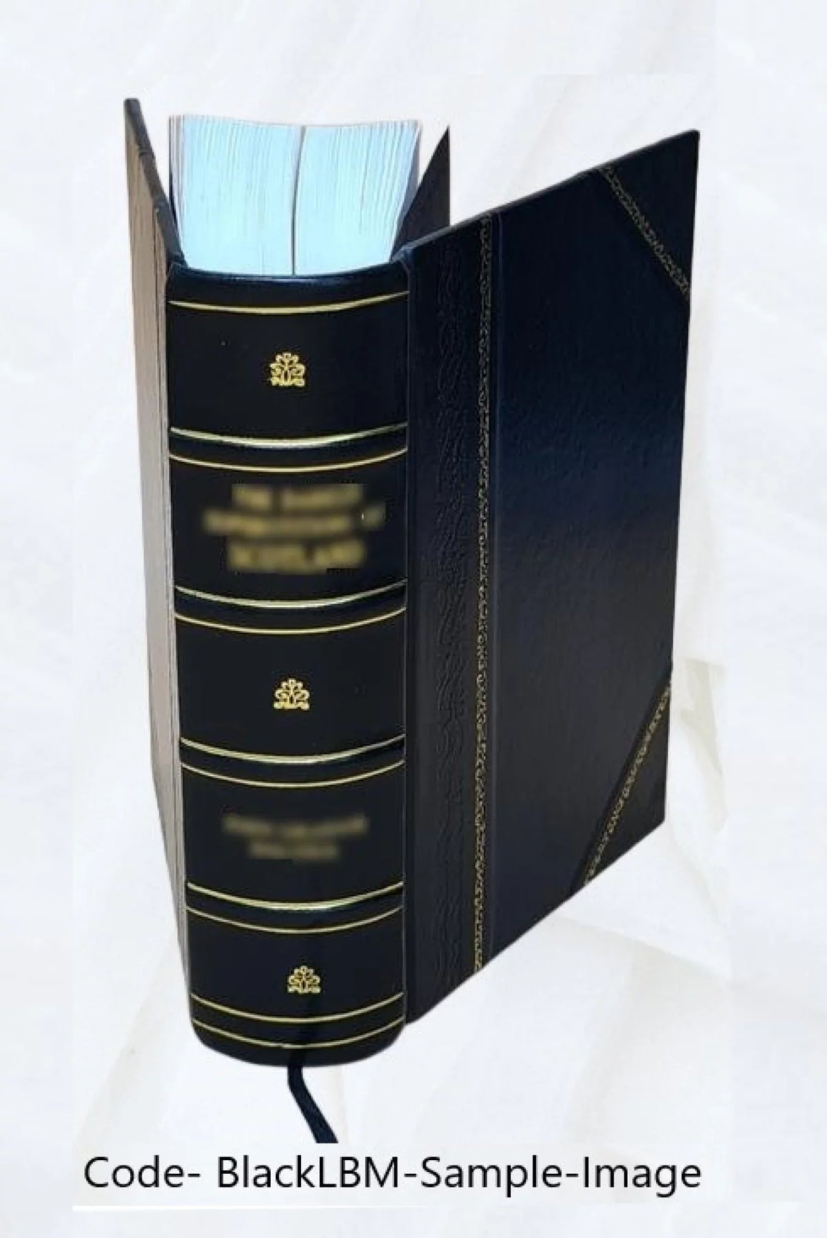 Opera omnia Volume t.9 1870 [Leather Bound]