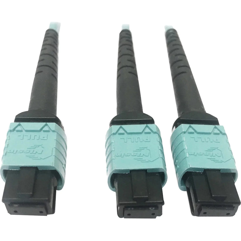 Eaton Tripp Lite Series 400G Multimode 50/125 OM4 Plenum Fiber Optic Cable, 24F MTP/MPO-PC to (x2) 12F MTP/MPO-PC (F/F), Aqua, 1 m