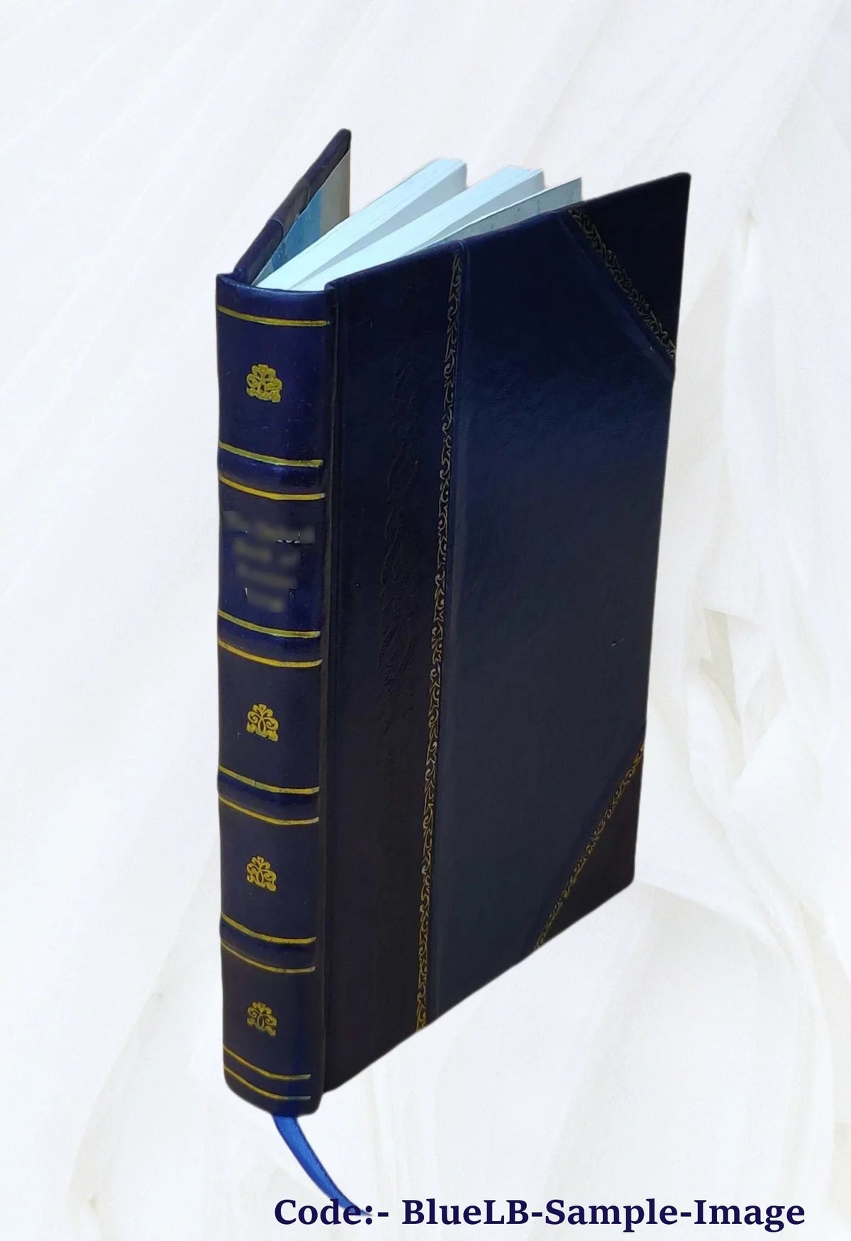 O neos Robinson. 1860 [Leather Bound]