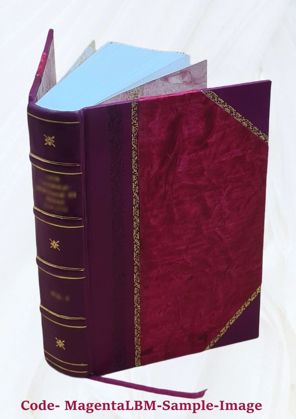 Opera omnia Volume t.9 1870 [Leather Bound]