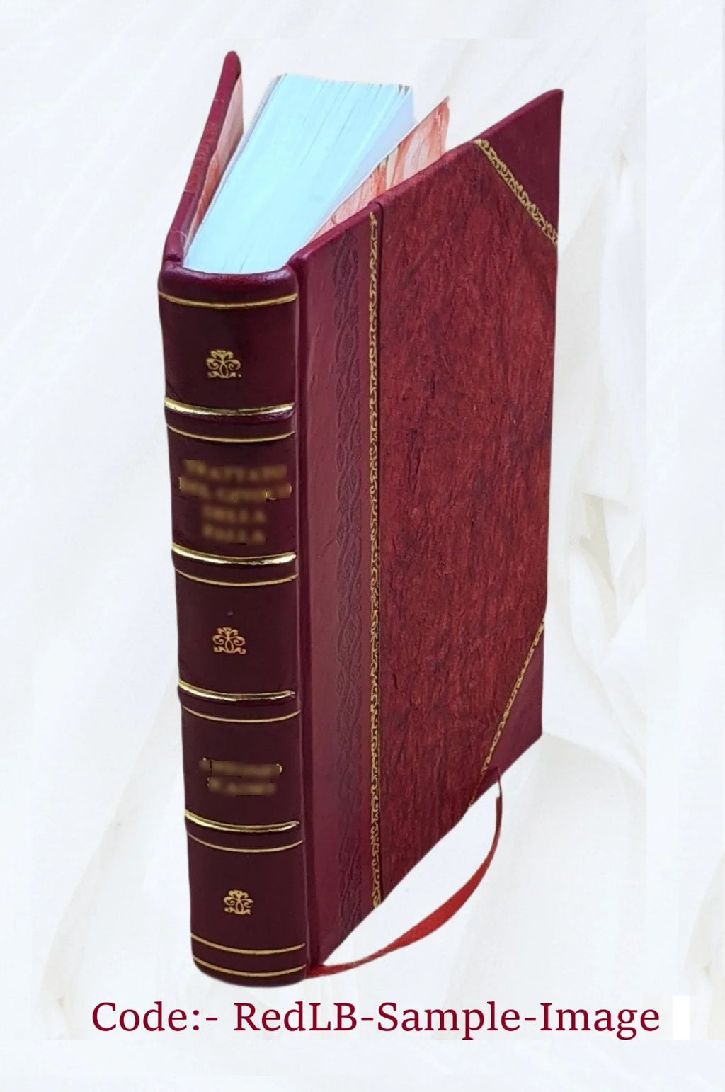 Nice, Cannes, Antibes, Monaco, Menton, San Remo. 1874 [Leather Bound]