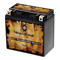 Pirate Battery YTX14-BS (14-BS 12 Volt,12 Ah, 200 CCA) Motorcycle Battery for Kawasaki 800cc Vn800-a, B, C, E Vulcan, Classic, Drifter 1995