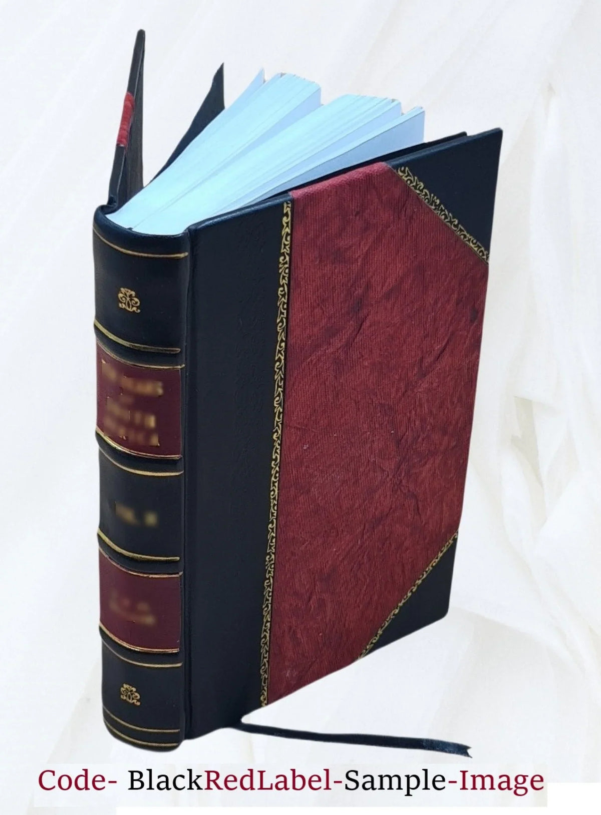 Cross & dagger; the crusade of the children, 1212. 1910 [Leather Bound]