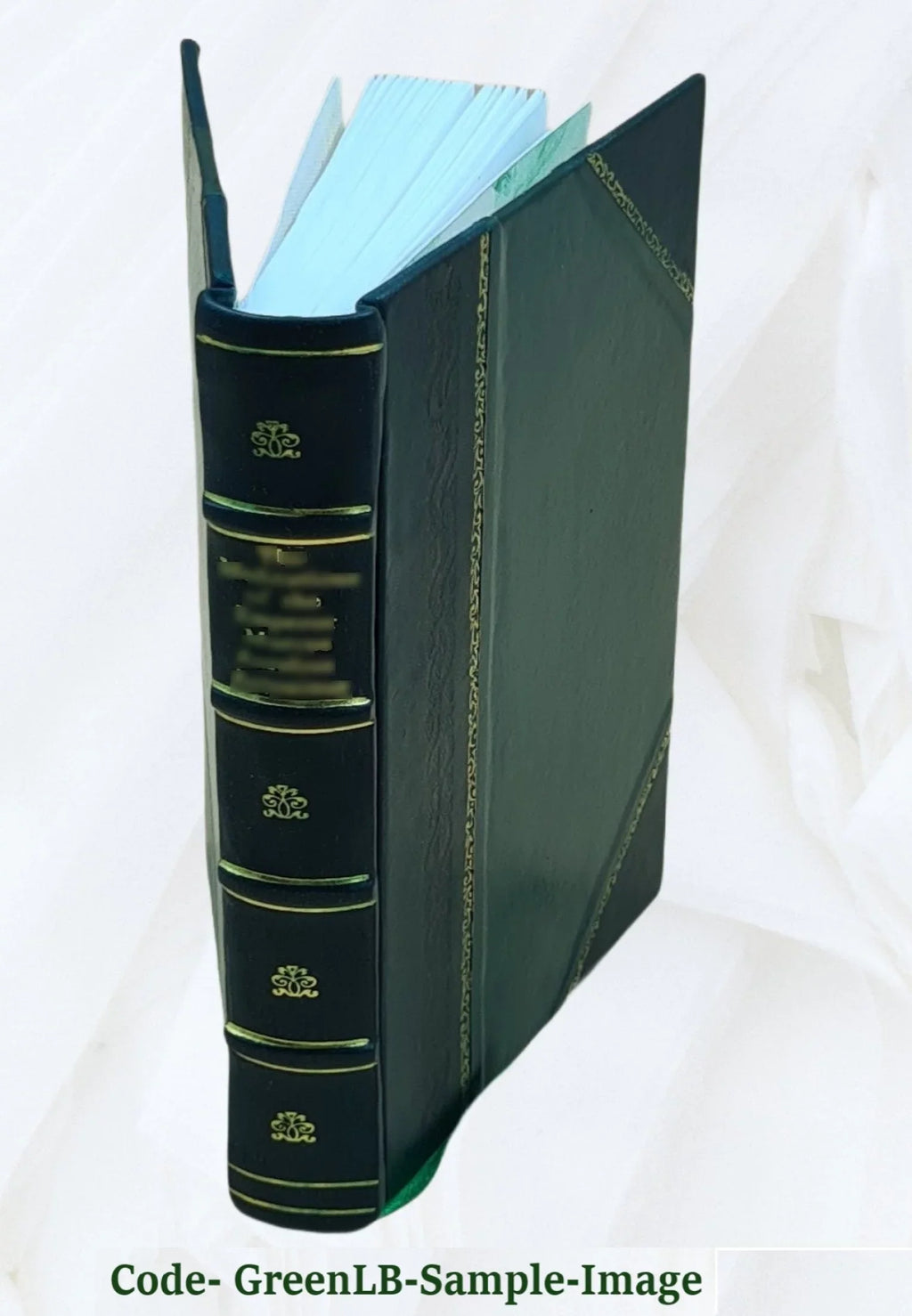 Historia de gentibus septentrionalibus authore Olao Magno, Gotho, archiepiscopo Vpsalensi, Suetiae & Gothiae primate 1562 [Leather Bound]