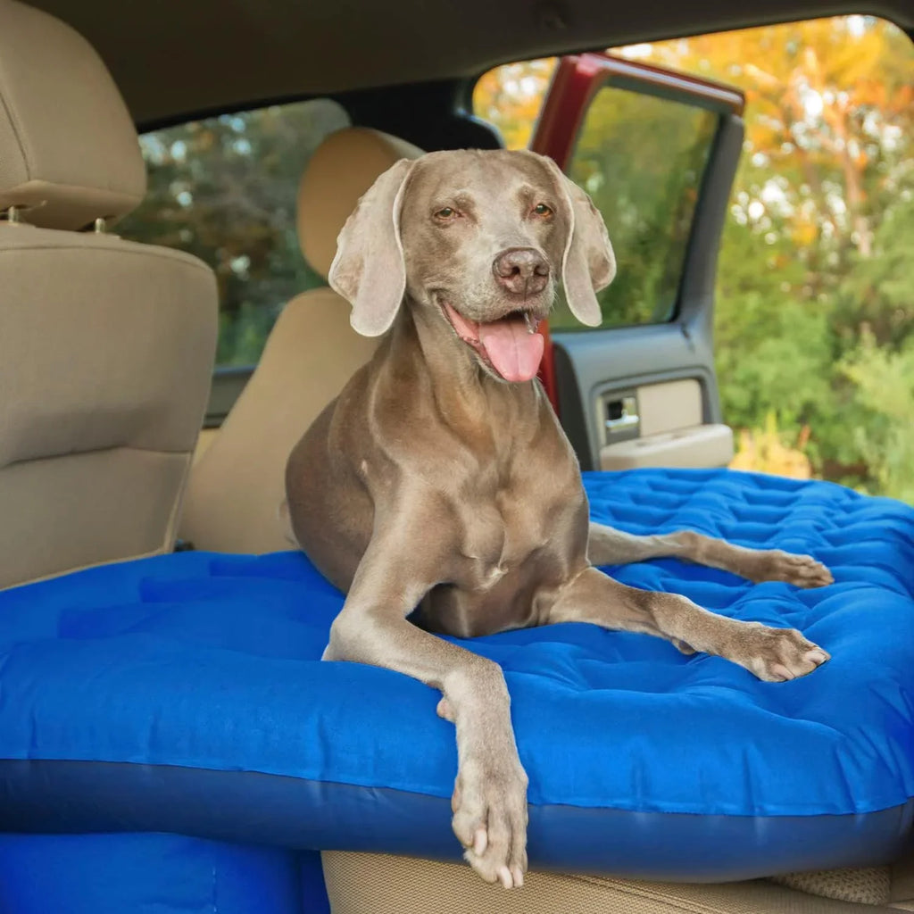 Pittman Outdoors PPI-BLU-TRKMAT Inflatable Fabric Rear Cushion Truck Air Bed Mattress | 5 Feet In Length | Fits Full-Sized Trucks And 's, Blue